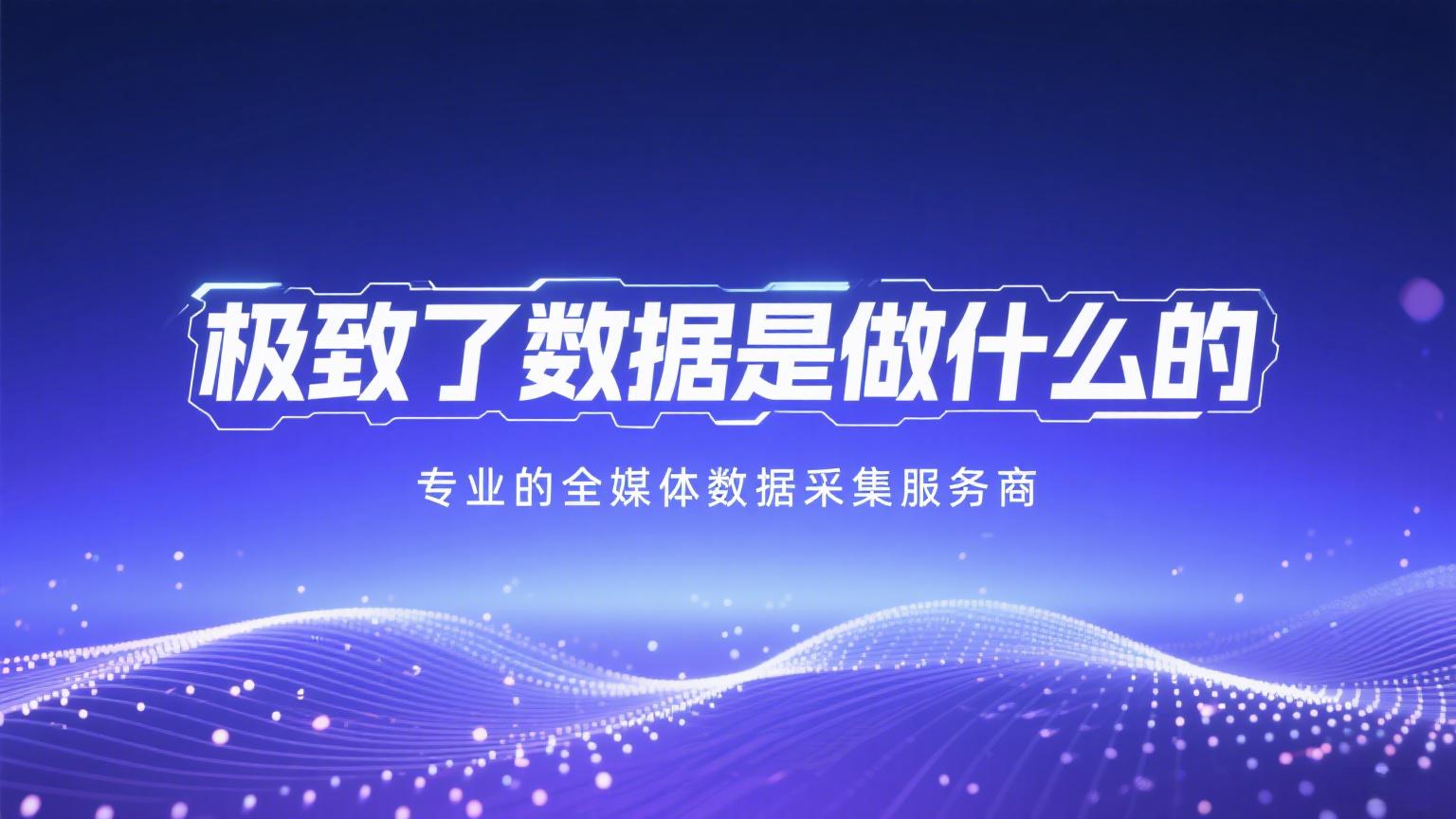 极致了数据是做什么的